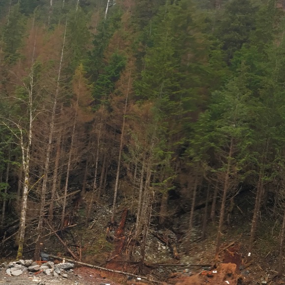 Meet your Posher, Saber - Picture 1 of 1